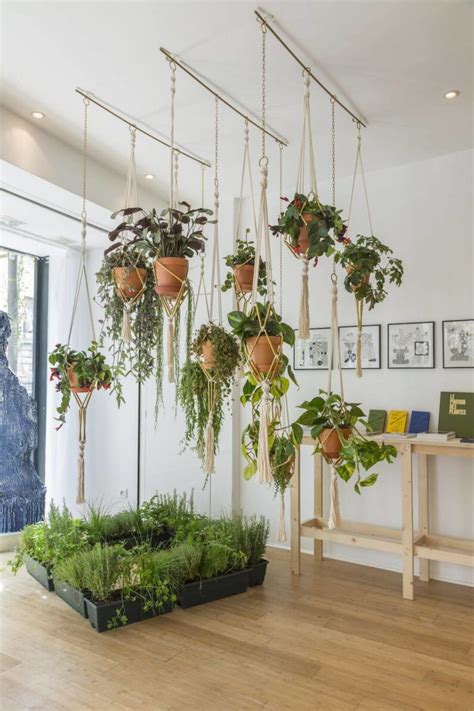 22 Stunning Ideas For Indoor House Plant