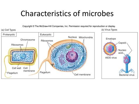 Ppt Welcome To Microbiology Powerpoint Presentation Free Download
