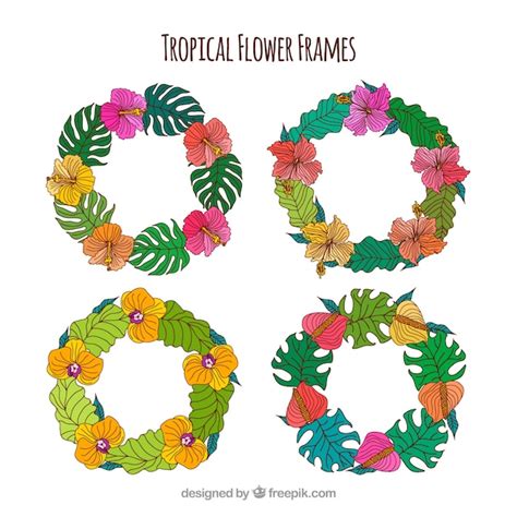 Free Vector Pack Of Hand Drawn Tropical Floral Wreath