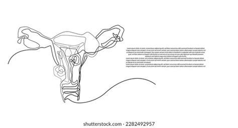 Continuous Line Vagina One Line Drawing Stock Vector Royalty Free