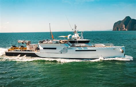 2010 Damen Sea Axe Support Vessel A Motor Barco En Venta