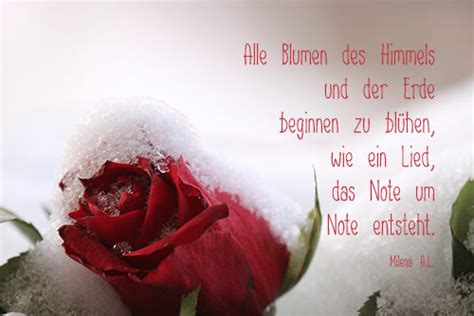 ALLES GUTE wünschen - liebevolle Sprüche - gute Wünsche ...