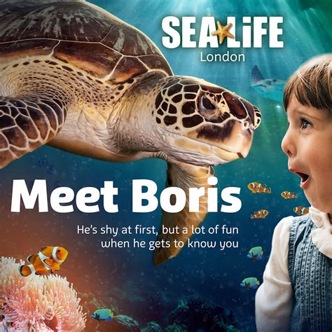 Sea Life London Aquarium Tickets Exclusive Up To 36 Off Discount