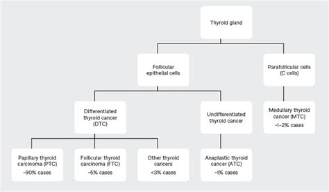 Racgp Differentiated Thyroid Cancer