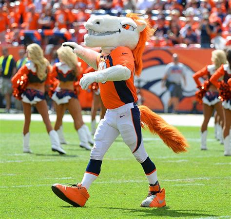 Ranking The Nfl S Mascots Sports Illustrated
