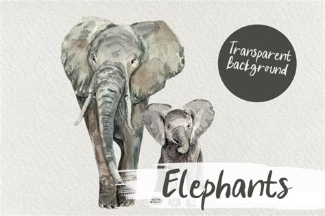 Watercolor Elephants Clip Art By Tatibordiu Watercolor Thehungryjpeg