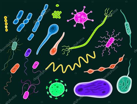 Qu'est ce qu'une infection ? Bacteriën en virussen — Stockvector © bicubic #5993873