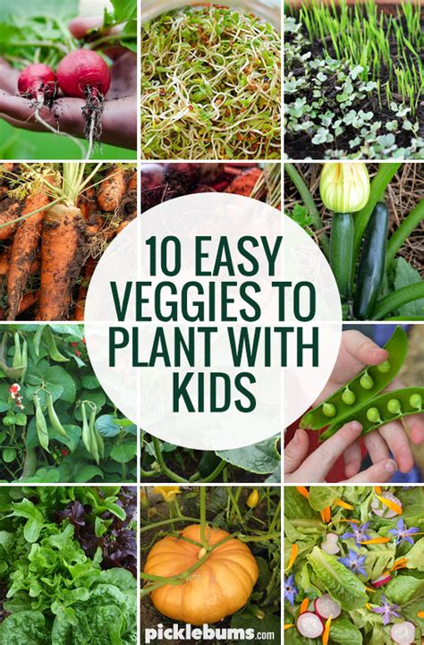 Ten Easy Veggies To Grow With Kids Picklebums