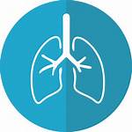 Lungs Lung Icon Respiration Vector Graphic Pixabay