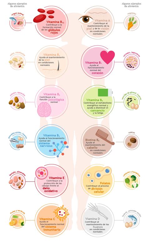Nutrientes Tipos Importancia Y Sus Funciones Para La Salud Del Cuerpo