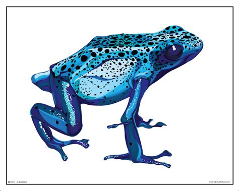 Blue Frog 16x20 Illustration Frog Illustration Artist Blue