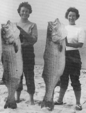 Vintage Fishing Opening Ideas Vintage Fishing Gone Fishing