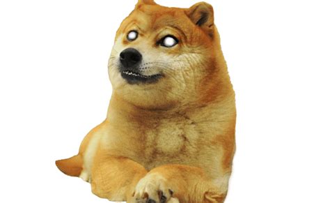 Doge Png Transparent Images Png All Otosection