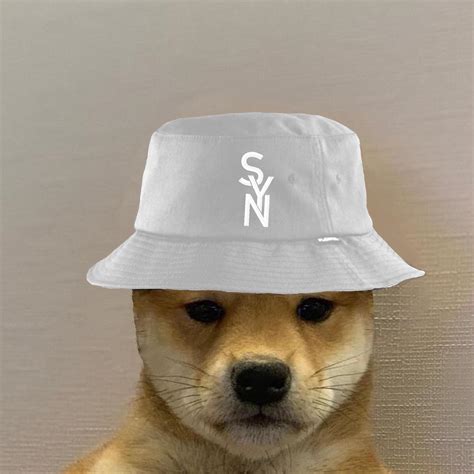 Dogwifhat Meme 1080 Px Nrg Dogwifhat In 2020 Home