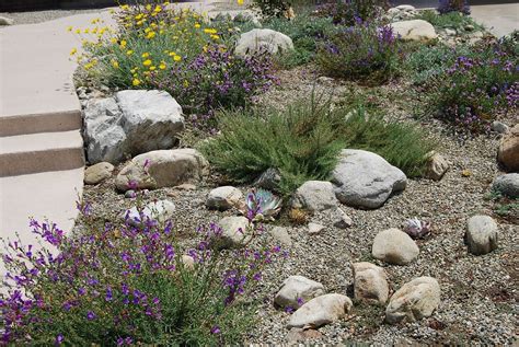 58 Backyard Drought Tolerant Landscape Garden Design