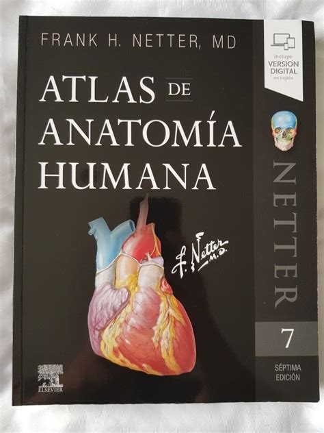 Netter 7ta Ed Atlas De Anatomía Humana
