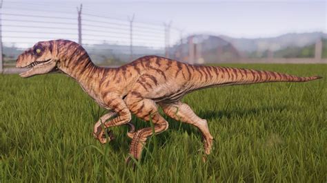 Velociraptor Jurassic World Evolution Wiki Fandom Jurassic World Jurassic Park World