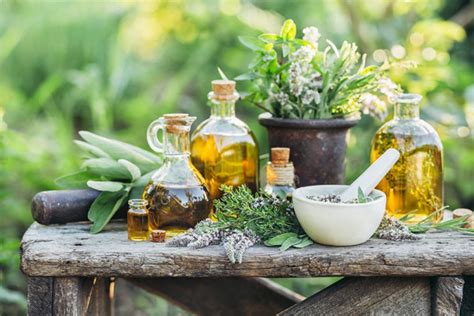 Come Eliminare I Cattivi Odori In Cucina Con Gli Aromi Naturali Faber