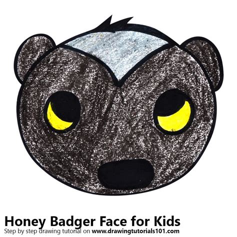 Step By Step How To Draw A Honey Badger Face For Kids