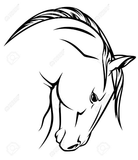 White Horse Drawing Free Download On Clipartmag