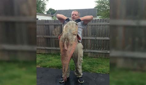 Illinois Angler Catches Releases Potential State Record Flathead