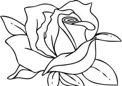 Coloring Roses Pages Printable Rose Heart Getcolorings