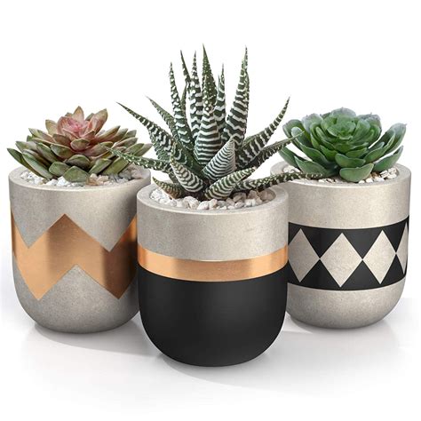 3 Inch Small Succulent Pots With Drainage Set Of 3 Concrete Planter