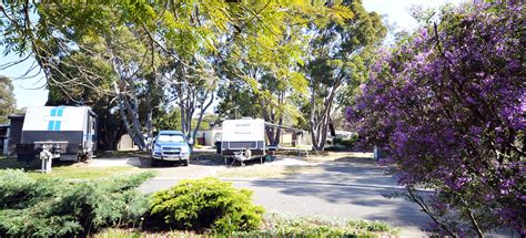 First settled in the 1840s, its name is aboriginal for crane feeding on frogs. it became a borough in 1961 and a city in 1964. Tandara Caravan Park | Traralgon Victoria