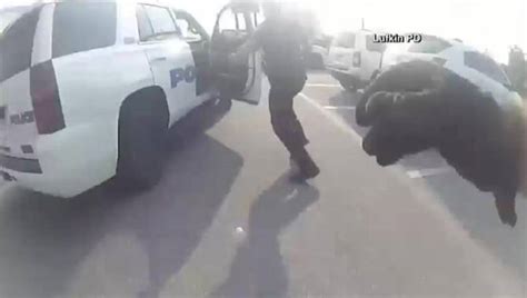 Texas Woman Sheds Handcuffs Steals Police Cruiser Causing High Speed