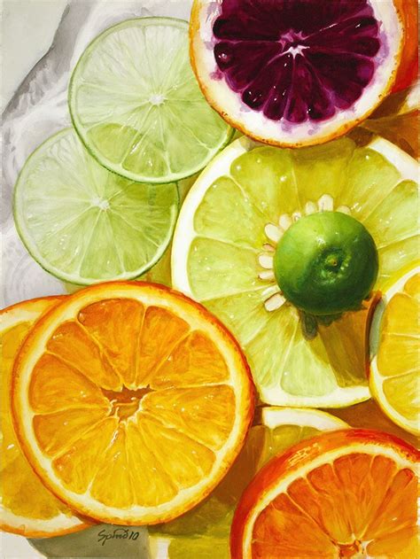 Citrus Fruit Painting Watercolor Fruit Food Artists