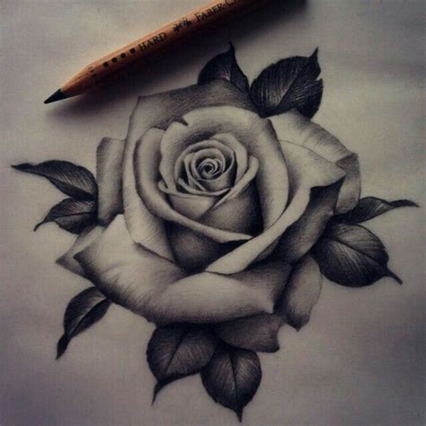 Como Dibujar Una Rosa Fácil Y Bonita Rose Drawing Tattoo Realistic Rose Tattoo Tattoos