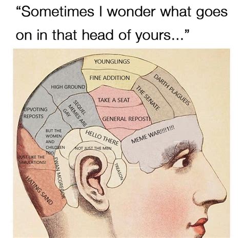 I Wanna Pick Your Brain Rprequelmemes