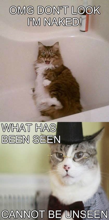 Naked Cat Meme Slapcaption Com Cat Memes Pinterest Meme Cat Sexiz Pix