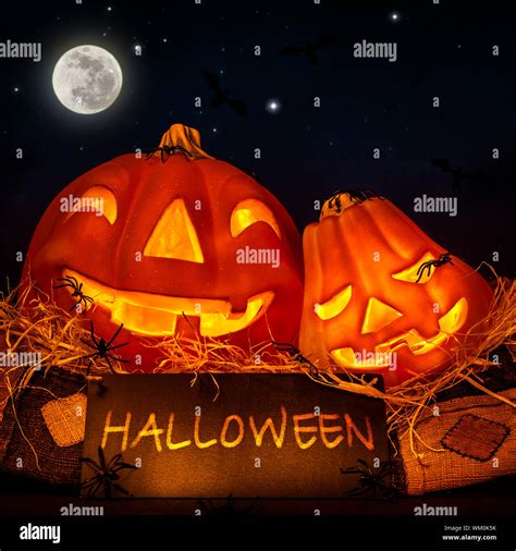 Halloween Pumpkin Stock Photo Alamy