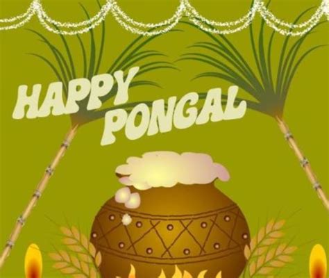 Top Pongal Wallpapers And Images Hd Page Happy Diwali