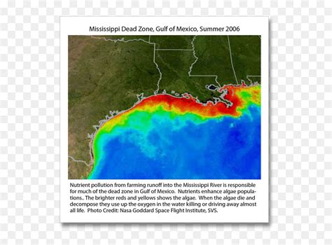 Gulf Of Mexico Hypoxia Zone Hd Png Download Vhv