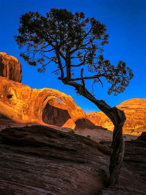 6 Tips For Colorful Landscape Photography On Iphone