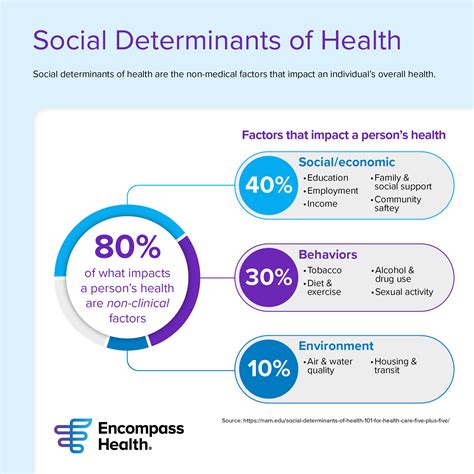 Social Determinants Of Health Infographic Encompass Health Connect