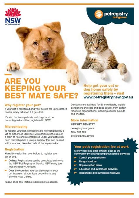 How does pet microchipping work? Microchipping & Lifetime Registration - Inverell Shire ...