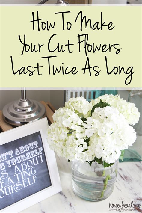 How To Care For Cut Flowers Honeybear Lane