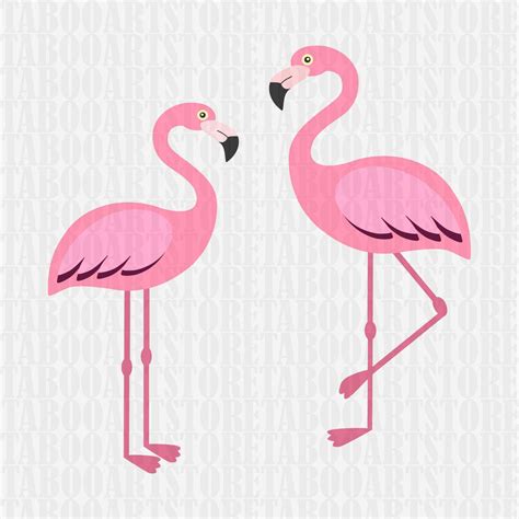 Svg Flamingo Cut File Flamingo Svg Silhouette Cut File Etsy