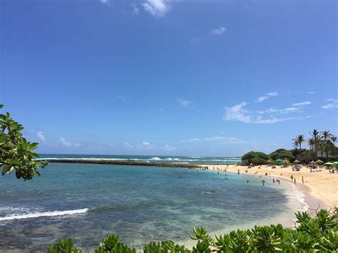 Turtle Bay Beach Kahuku All You Need To Know Before You Go