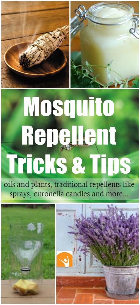 A wide variety of mosquito eliminate options are available to you, such as specification, fragrance, and feature. Eliminate Mosquitoes In Backyard - BACKYARD HOME