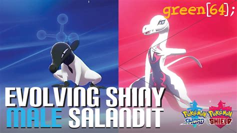There are a dozen or so hairstyles, and a bunch of colors to choose from, so you can change your appearance if you don't like what you've chosen during character creation. Evolving SHINY MALE Salandit: Pokemon Sword/Shield - YouTube