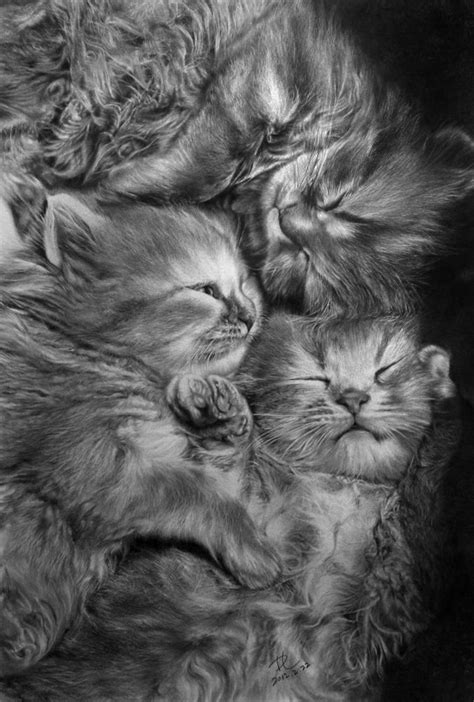 3 Babies Cats Drawing By ~paullung On Deviantart Cute Cat Drawing
