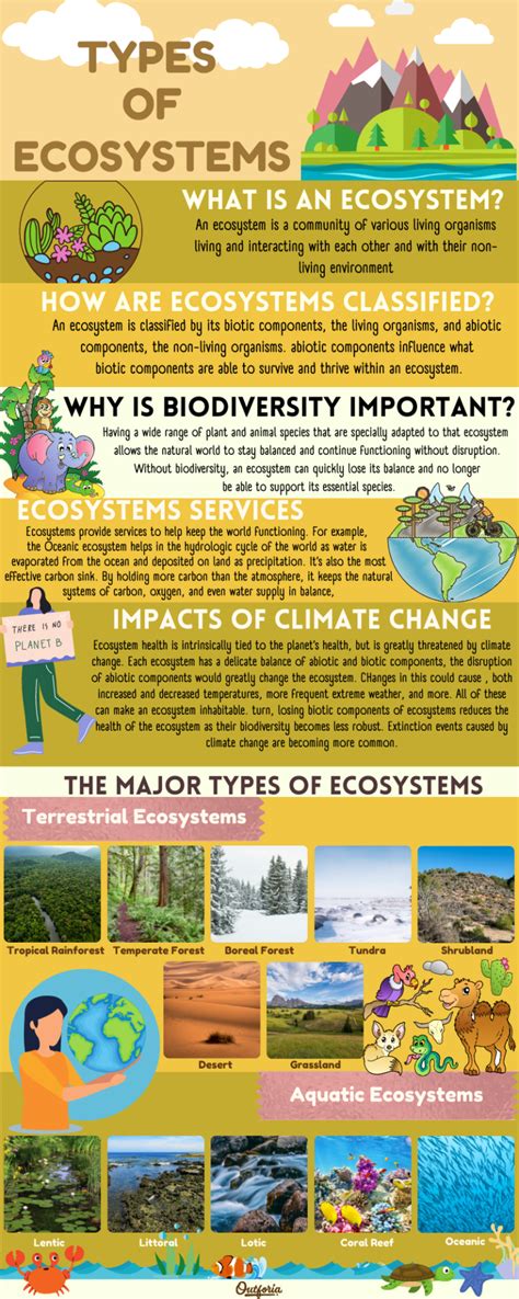 12 Different Types Of Ecosystems And Why They Are Important