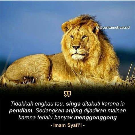 Apr 22, 2021 · diam disini bukan berarti kita harus masa bodoh dengan segalanya. Gambar Kata Kata Diam Bukan Berarti Lemah - Quote Hari Ini