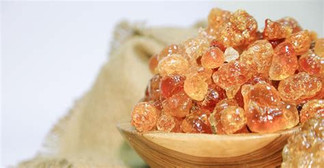 We sure do love eating candies, ice cream, and a lot of sweet stuff when we were kids. What is Gum Arabic (E414) in food: Sources, Uses, Health ...