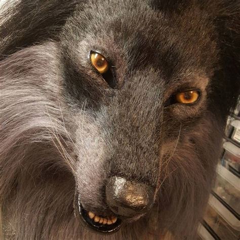 Pin On Wolf Fox Werewolf