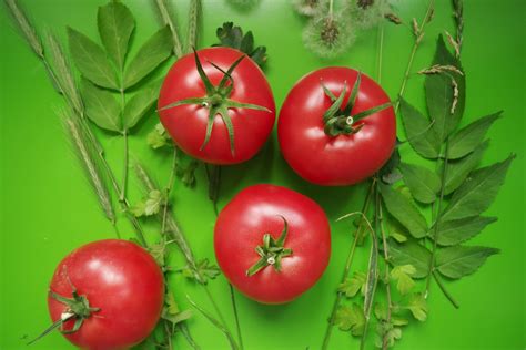 Tomato And Leaves Free Photo Download Freeimages